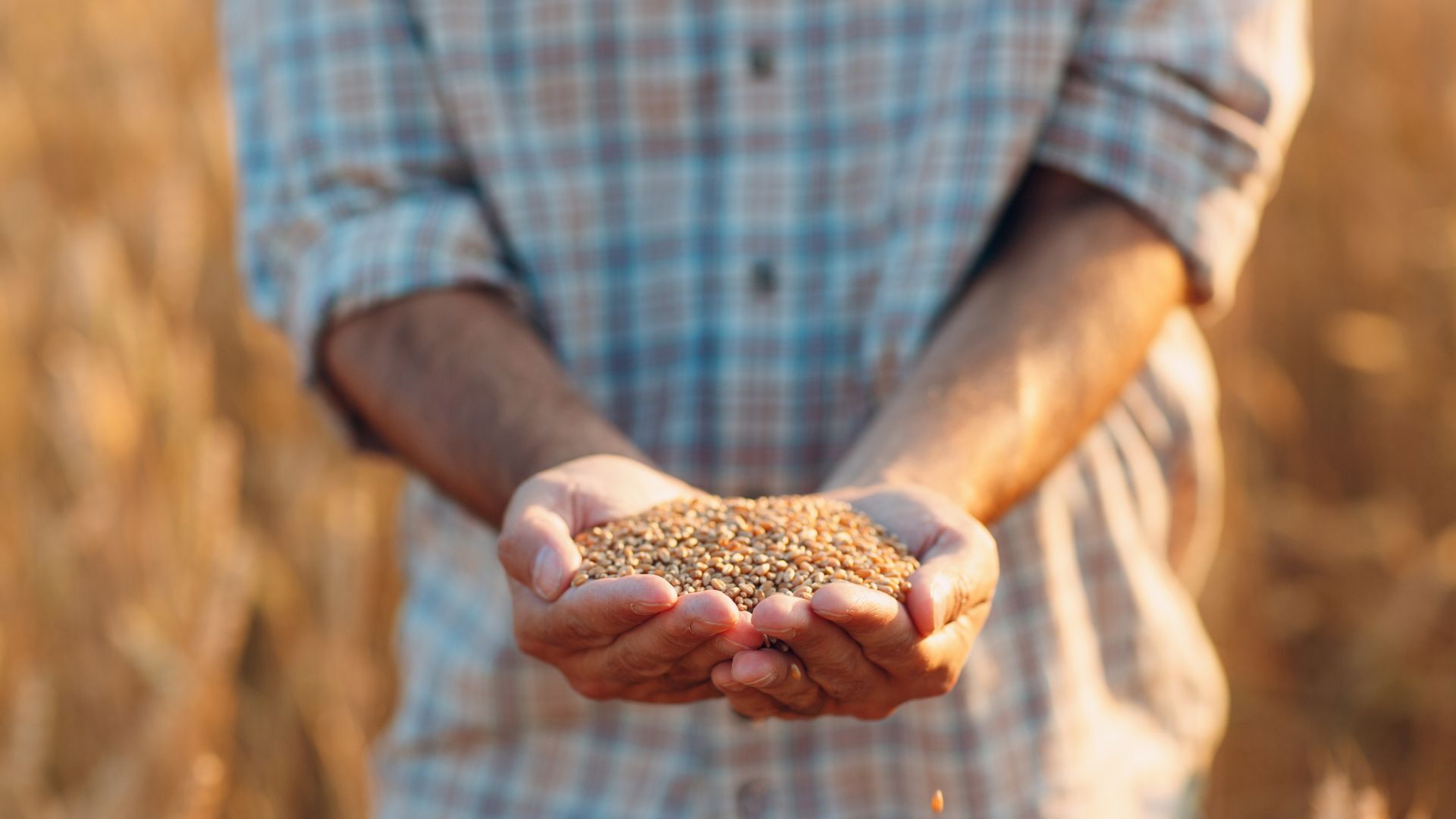 Supporting Farmers Every Step of the Way