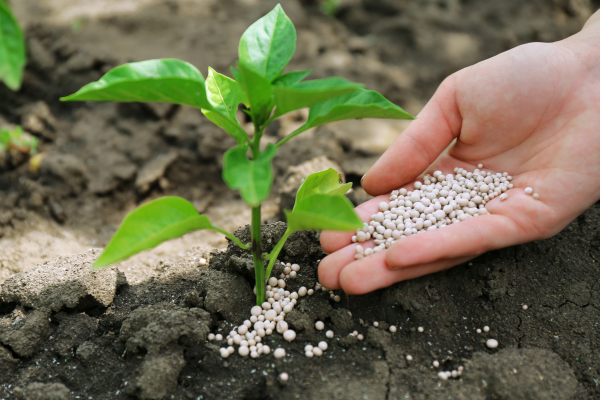 Cease Synthetic Inputs Cease Synthetic Inputs