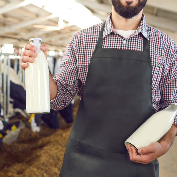 Dairy Operations