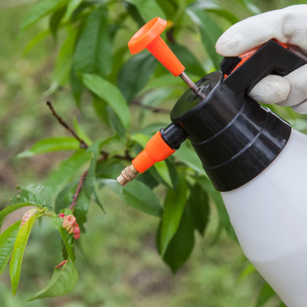 Fungicides