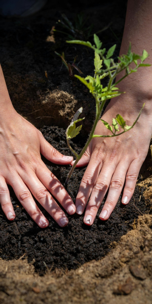 How We Use Your Test Results to Guide Your Transition