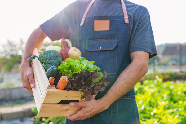 Introduce Organic Practices Introduce Organic Practices