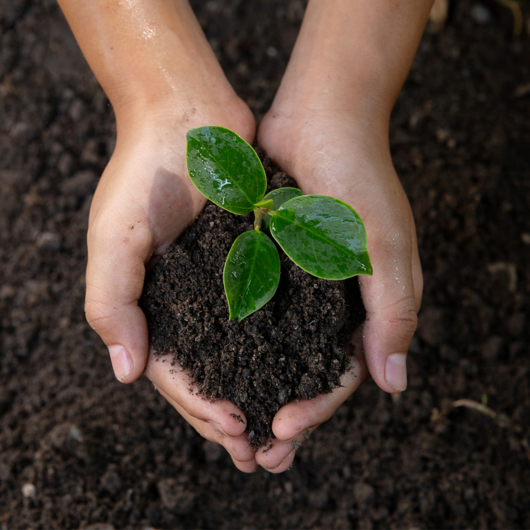 Soil Health and Input Optimization