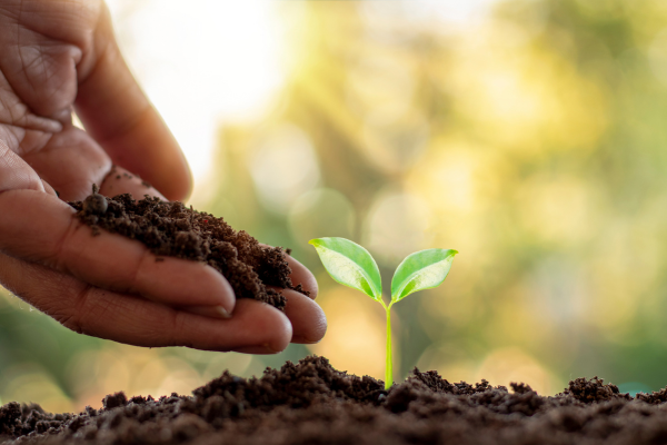 Soil Remediation Soil Remediation